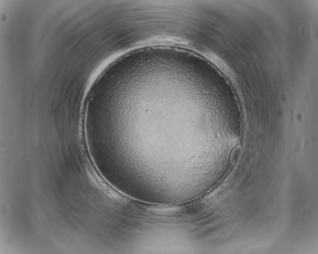 X0000067851296200604131241