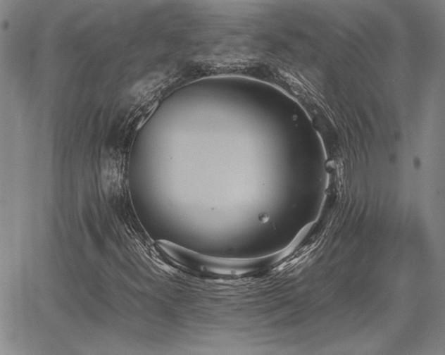 X0000067851300200604131241
