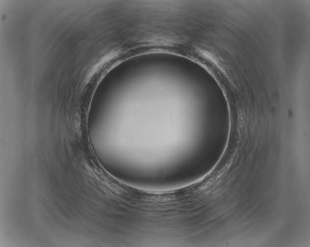 X0000067851307200604131241