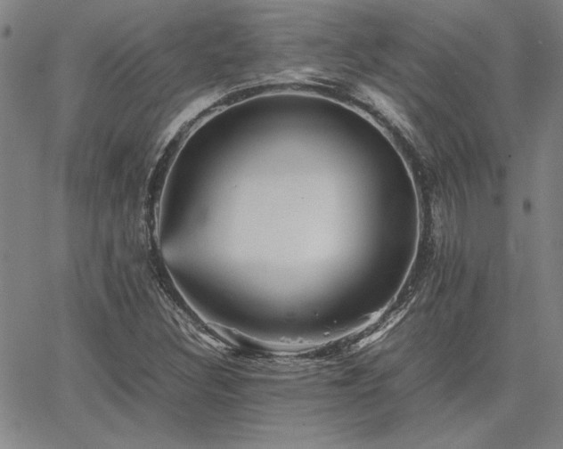 X0000067851308200604131241