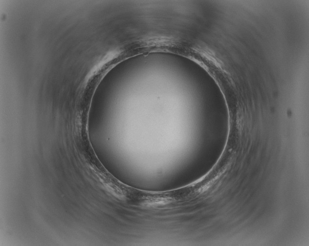 X0000067851309200604131241