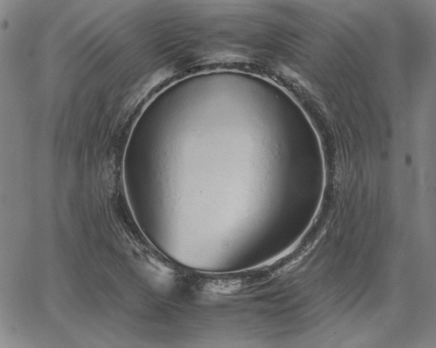 X0000067851313200604131241