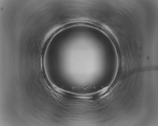 X0000067851320200604131241