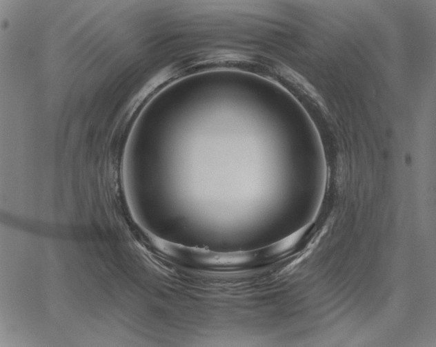 X0000067851321200604131241