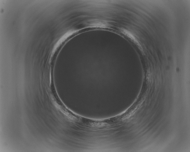 X0000067851323200604131241