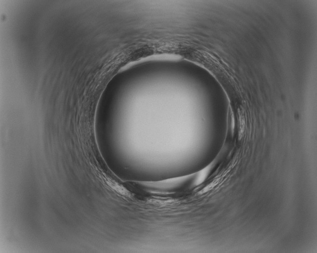 X0000067851345200604131241
