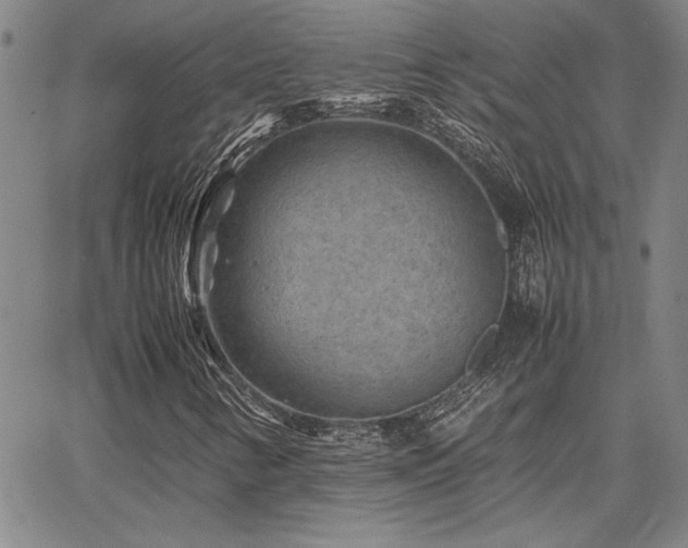 X0000067851346200604131241