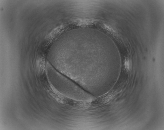 X0000067851348200604131241