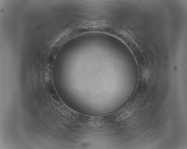 X0000067851350200604131241