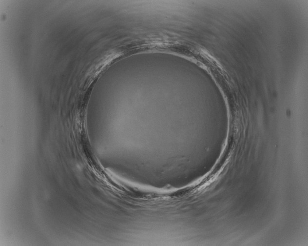 X0000067851353200604131241