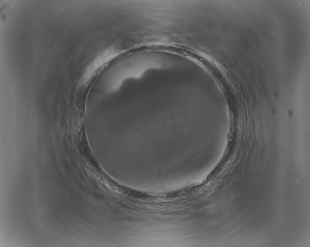 X0000067851359200604131240