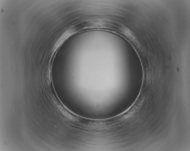 X0000067851370200604131240