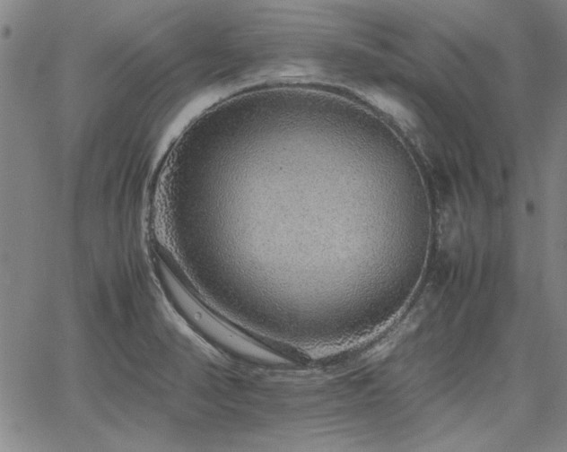 X0000067851374200604131240