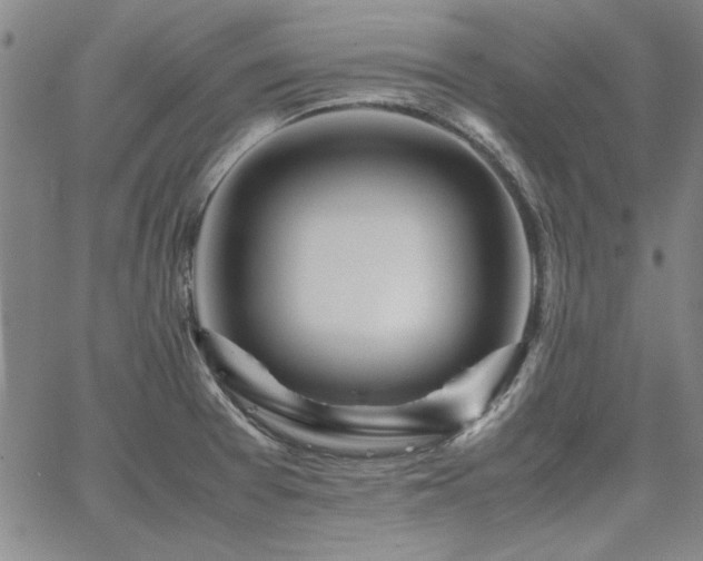 X0000067851377200604131240