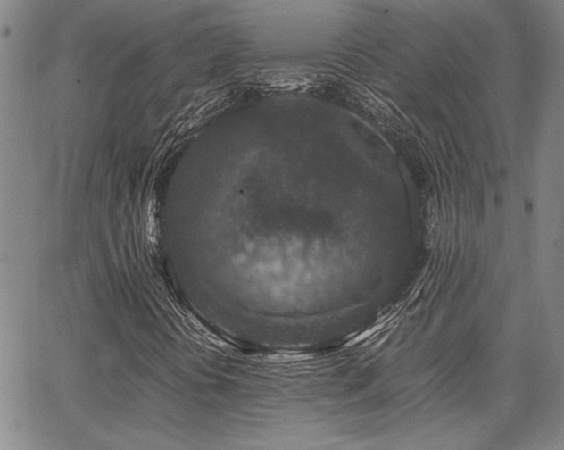 X0000067851394200604131239