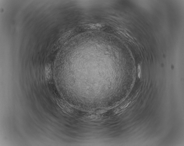 X0000067851395200604131239