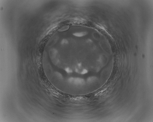 X0000067851399200604131239