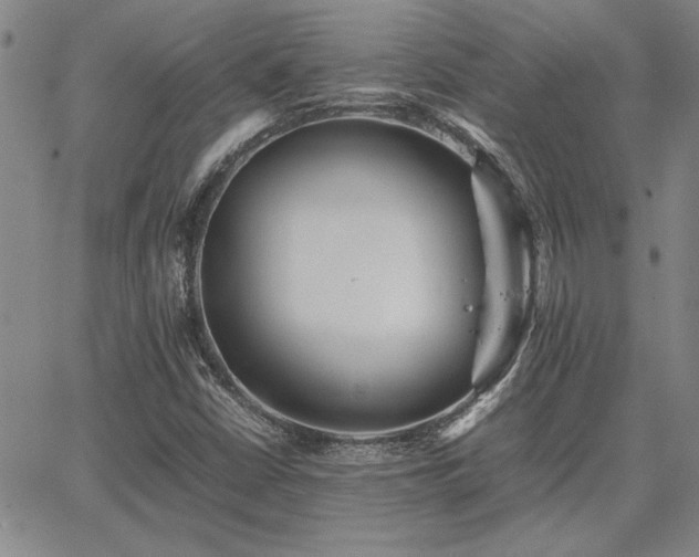 X0000067851402200604131239
