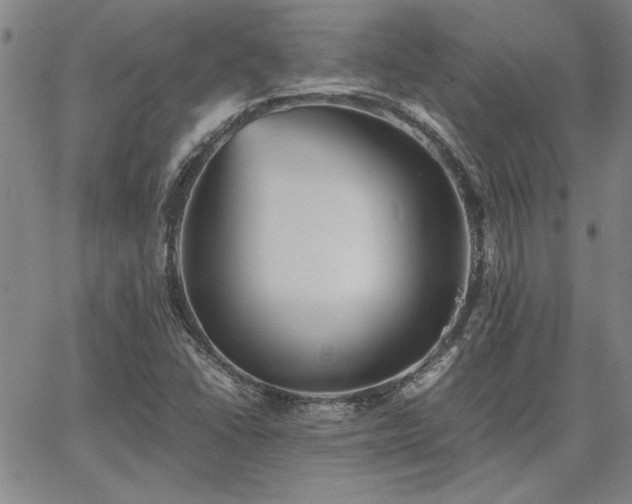 X0000067851406200604131239