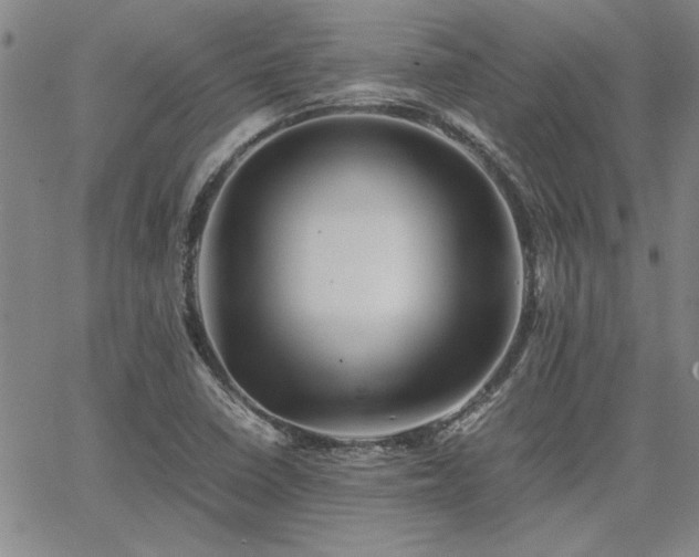 X0000067851410200604131239