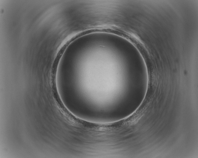 X0000067851412200604131239