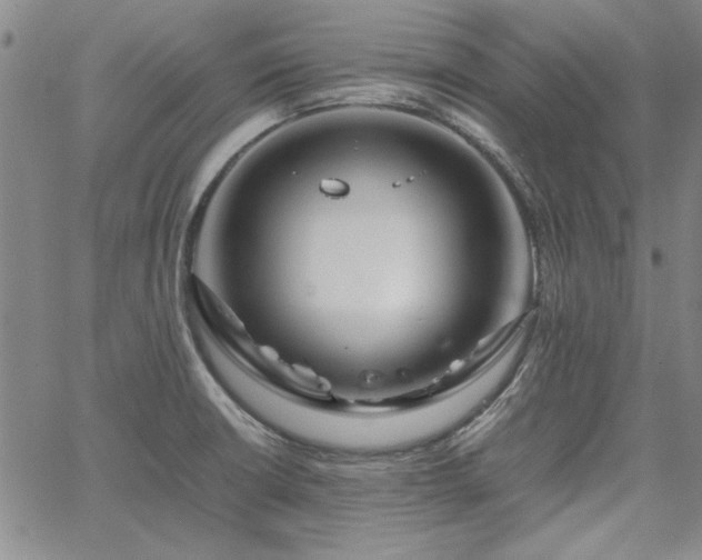 X0000067851426200604131240