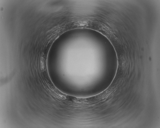 X0000067851442200604131239
