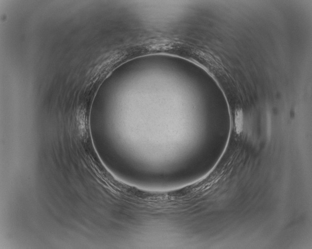 X0000067851444200604131239