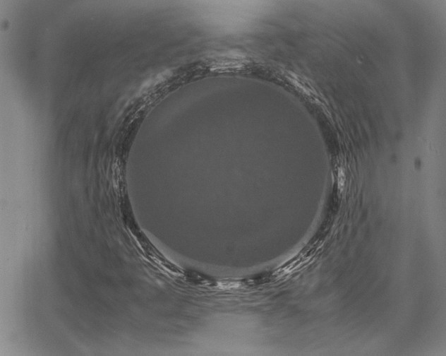 X0000067851445200604131239