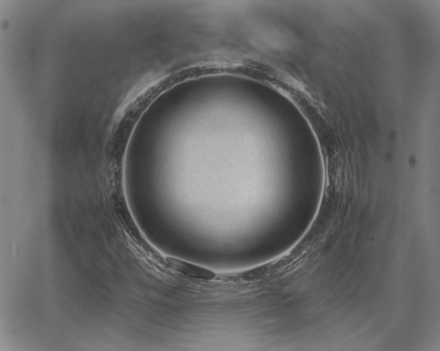 X0000067851448200604131239