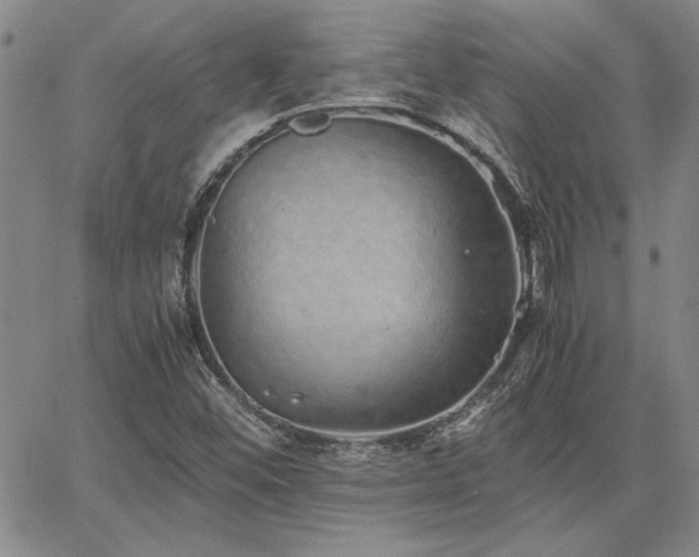 X0000067851452200604131239