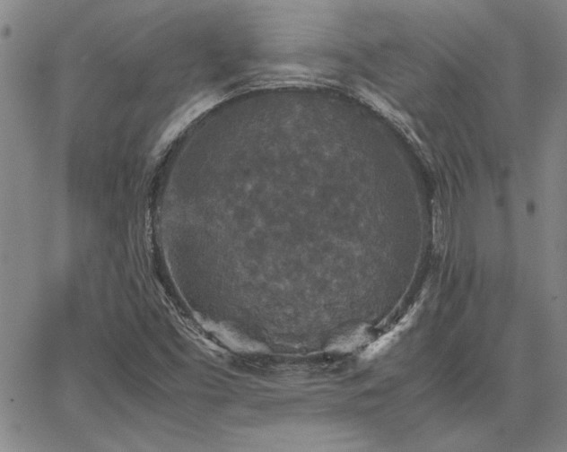 X0000067851453200604131239