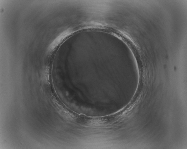 X0000067851455200604131239