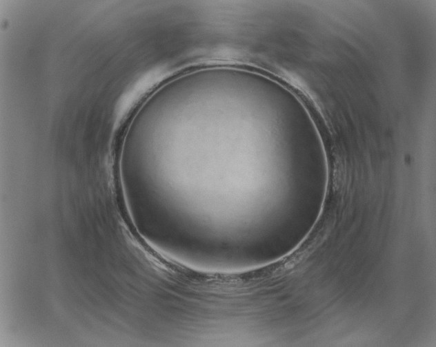 X0000067851464200604131239
