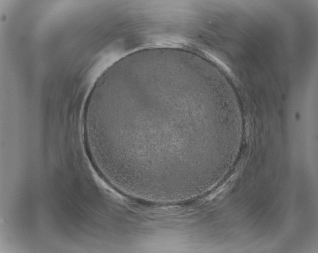 X0000067851471200604131239