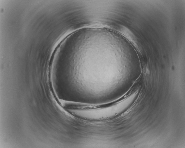 X0000067851484200604131238
