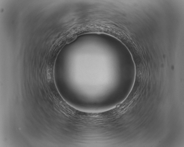 X0000067851490200604131238
