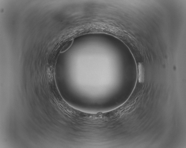 X0000067851491200604131238