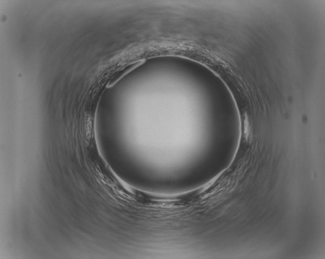 X0000067851492200604131238