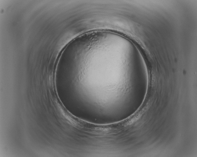X0000067851513200604131238