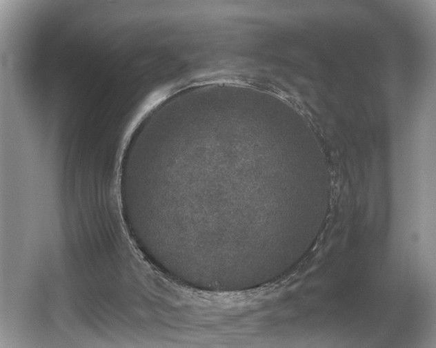 X0000067850006200604171236