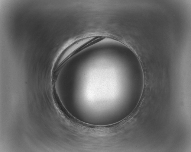X0000067850008200604171236