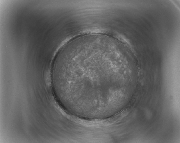 X0000067850012200604171236