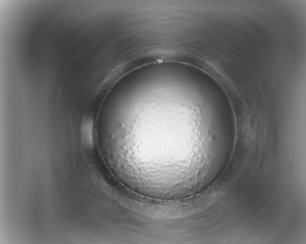 X0000067850024200604171236