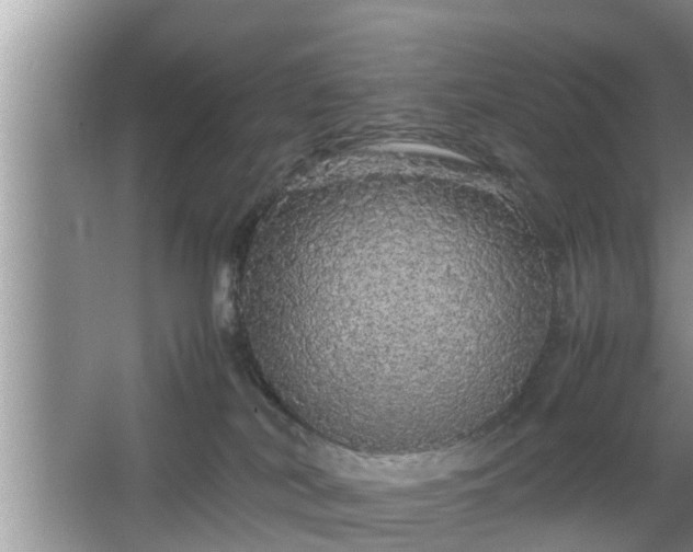 X0000067850038200604171236