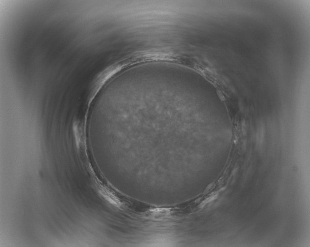 X0000067850052200604171235