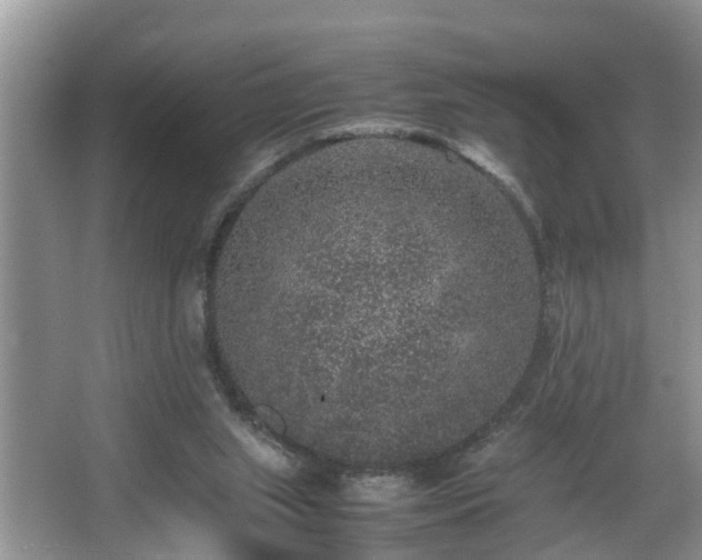 X0000067850063200604171235