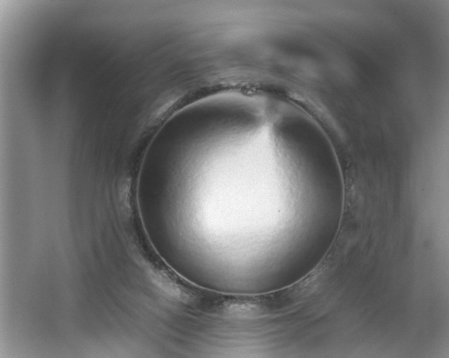 X0000067850066200604171235
