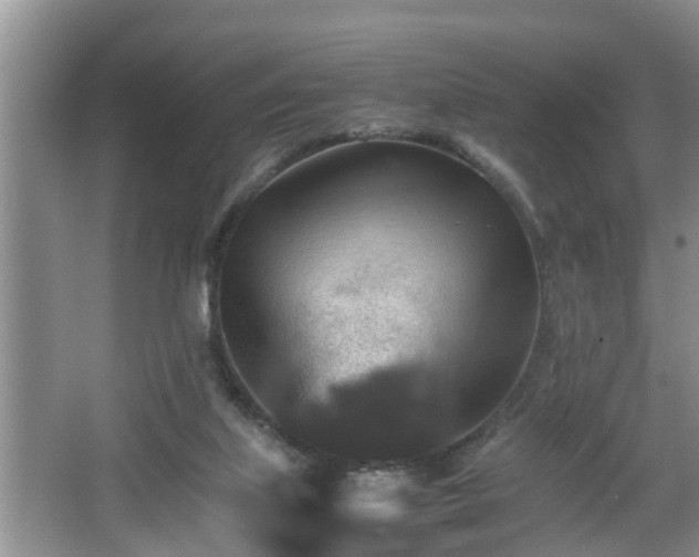 X0000067850067200604171235