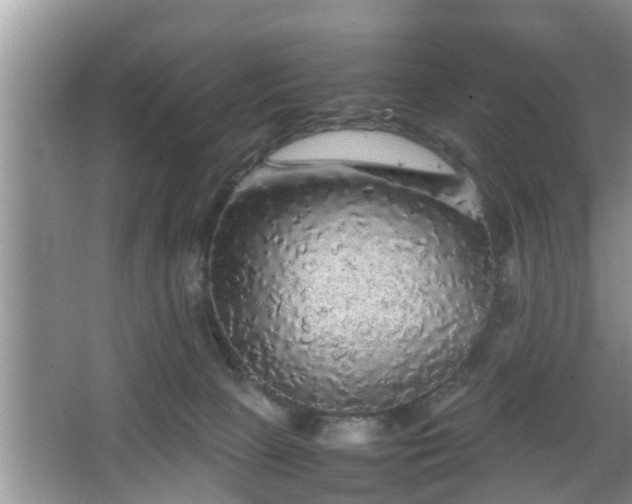 X0000067850081200604171235